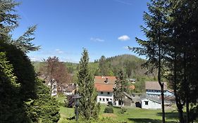 Apartment Bärenhütte, Altenau